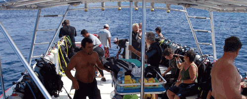 florida-keys-dive-charters