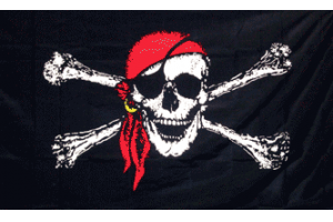 Jolly Roger Pirate Flag